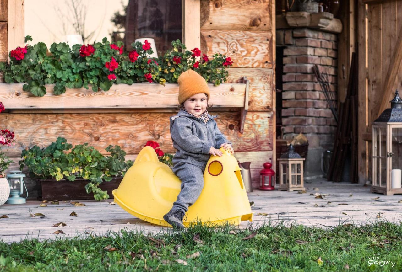 Luxury Chalet Villa Gorsky Poronin Exterior foto